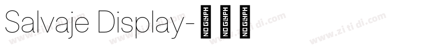 Salvaje Display字体转换 Salvaje Display字体转换